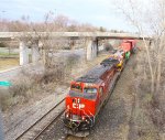 CP 8155
